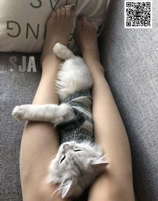 甜蜜惩罚全集在线观看_免费高清在线观看