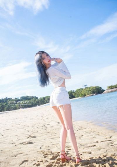 魔法使tai_蓝光免费观看电视剧